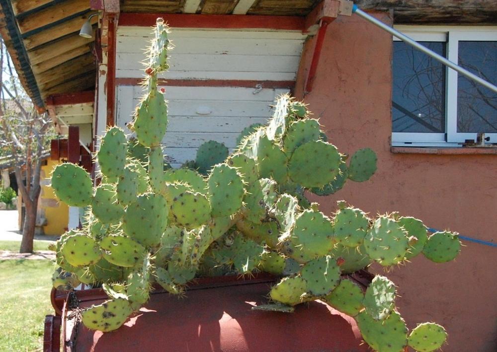 Posada Tresmentiras Aldeanueva del Camino Bagian luar foto