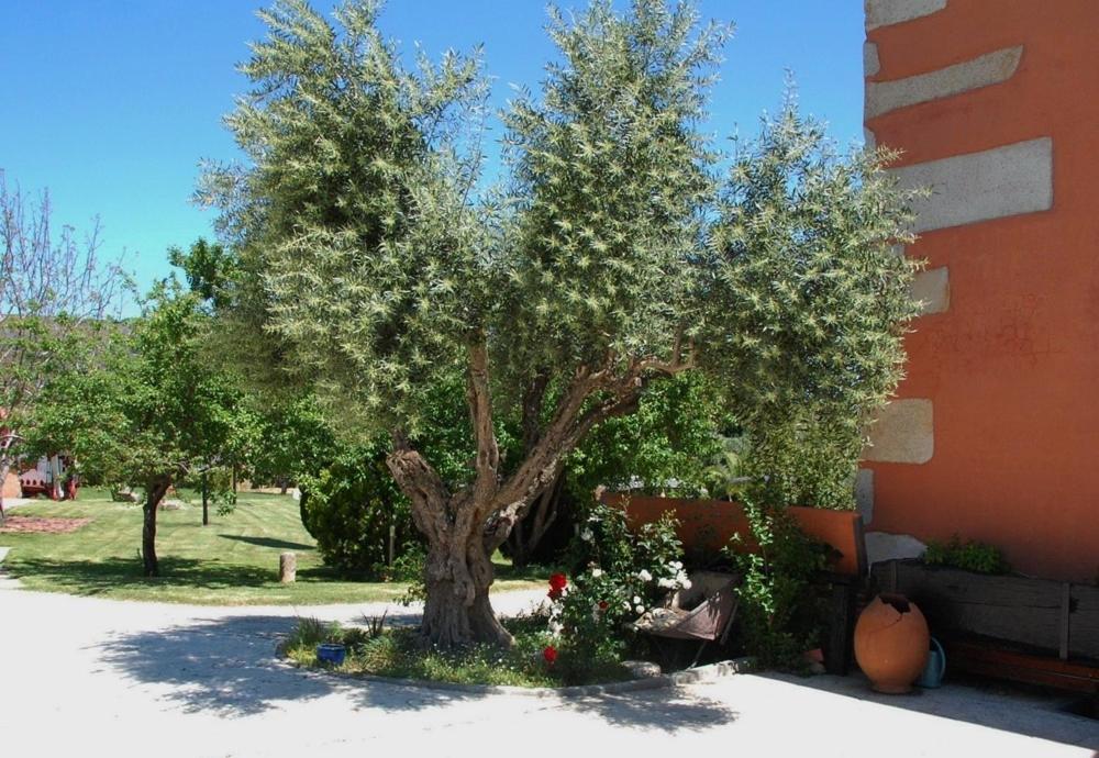 Posada Tresmentiras Aldeanueva del Camino Bagian luar foto